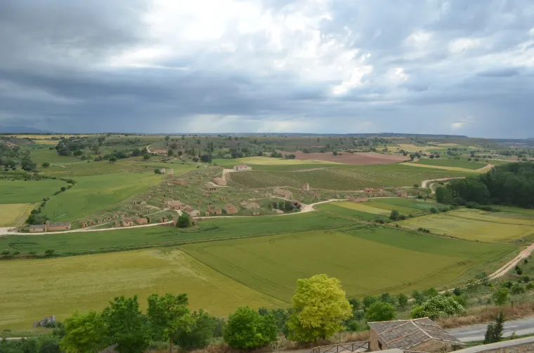 Viñedos del valle de Atauta, en la provincia de Soria