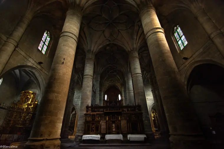 Interior de la colegiata de Berlanga de Duero. Fotografía de Blancalma