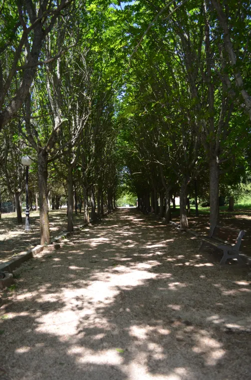 Paseo por el cerro del Castillo de Soria