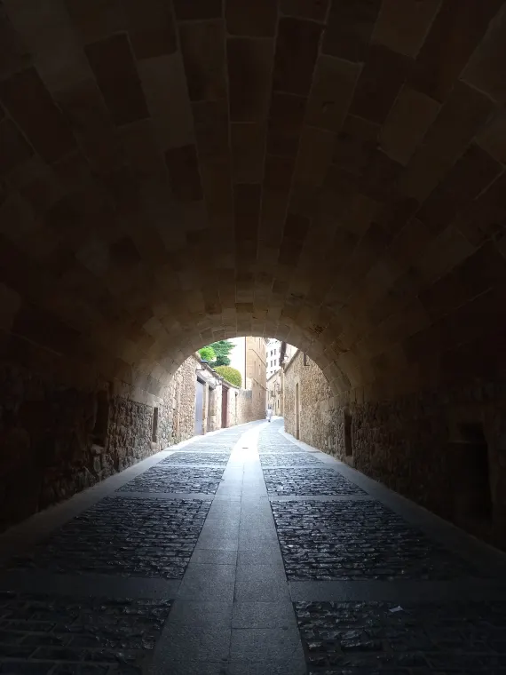 Arquitectura civil del casco histórico de Soria