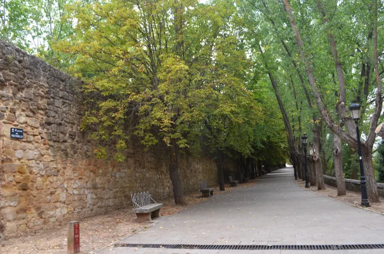 La muralla de Soria, junto al Duero