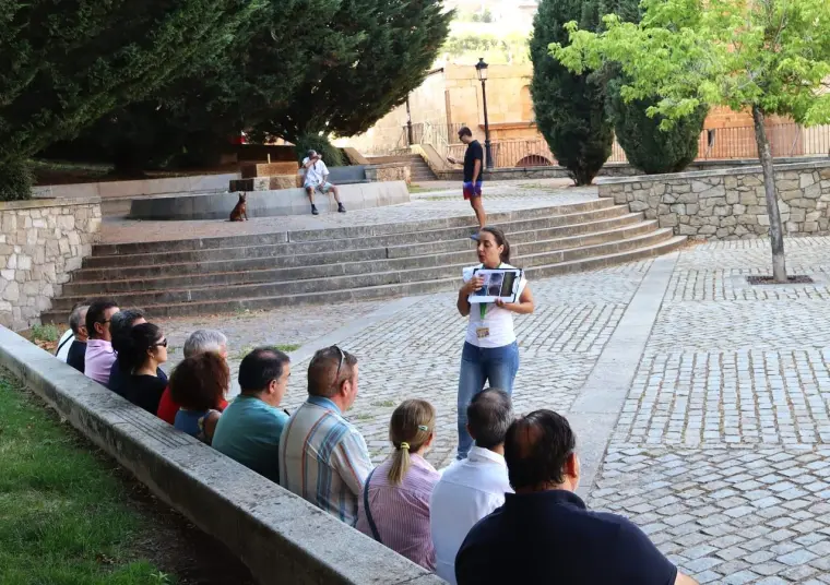 Visita guiada por la ciudad de Soria