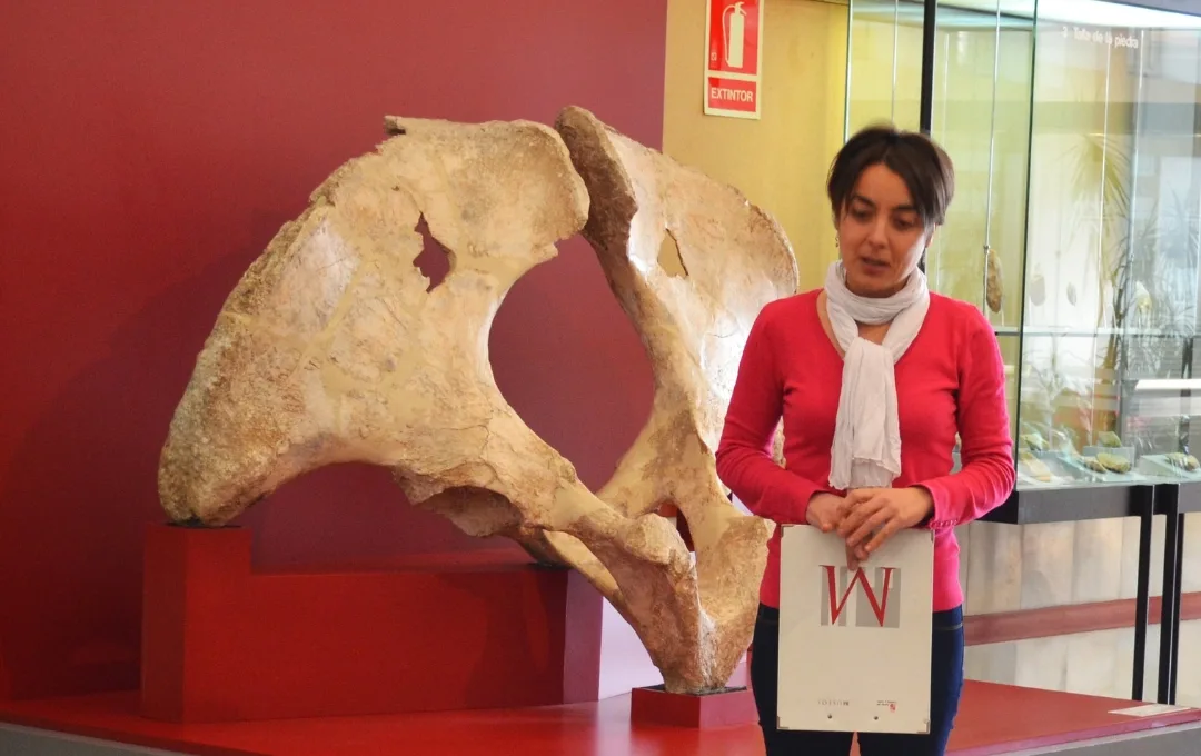 Responsable del Departamento de Educación y Acción Cultural (DEAC) del Museo Numantino