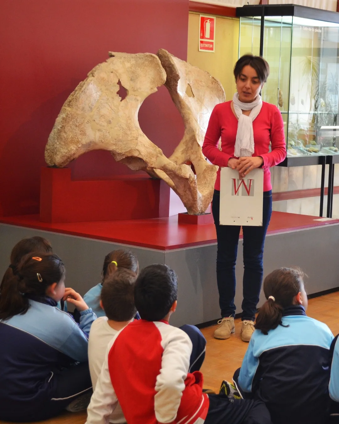 Responsable del Departamento de Educación y Acción Cultural (DEAC) del Museo Numantino